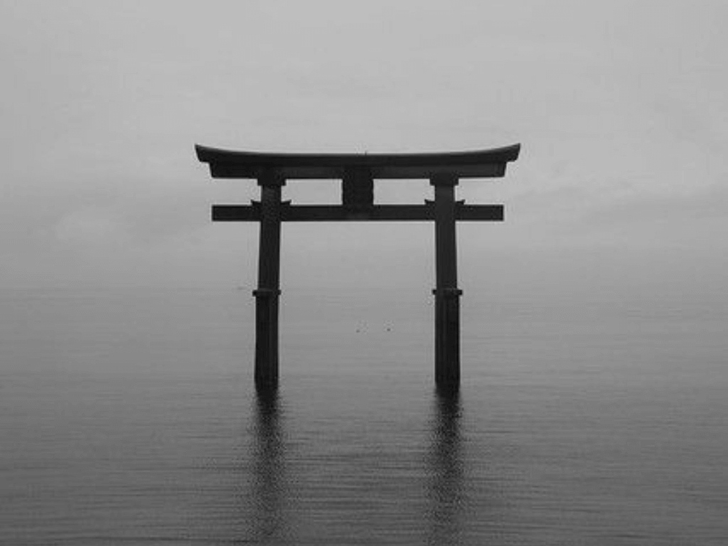 seijin dojo budo ninjutsu