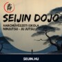 Ninjutsu: a fegyelem útján önmagadhoz