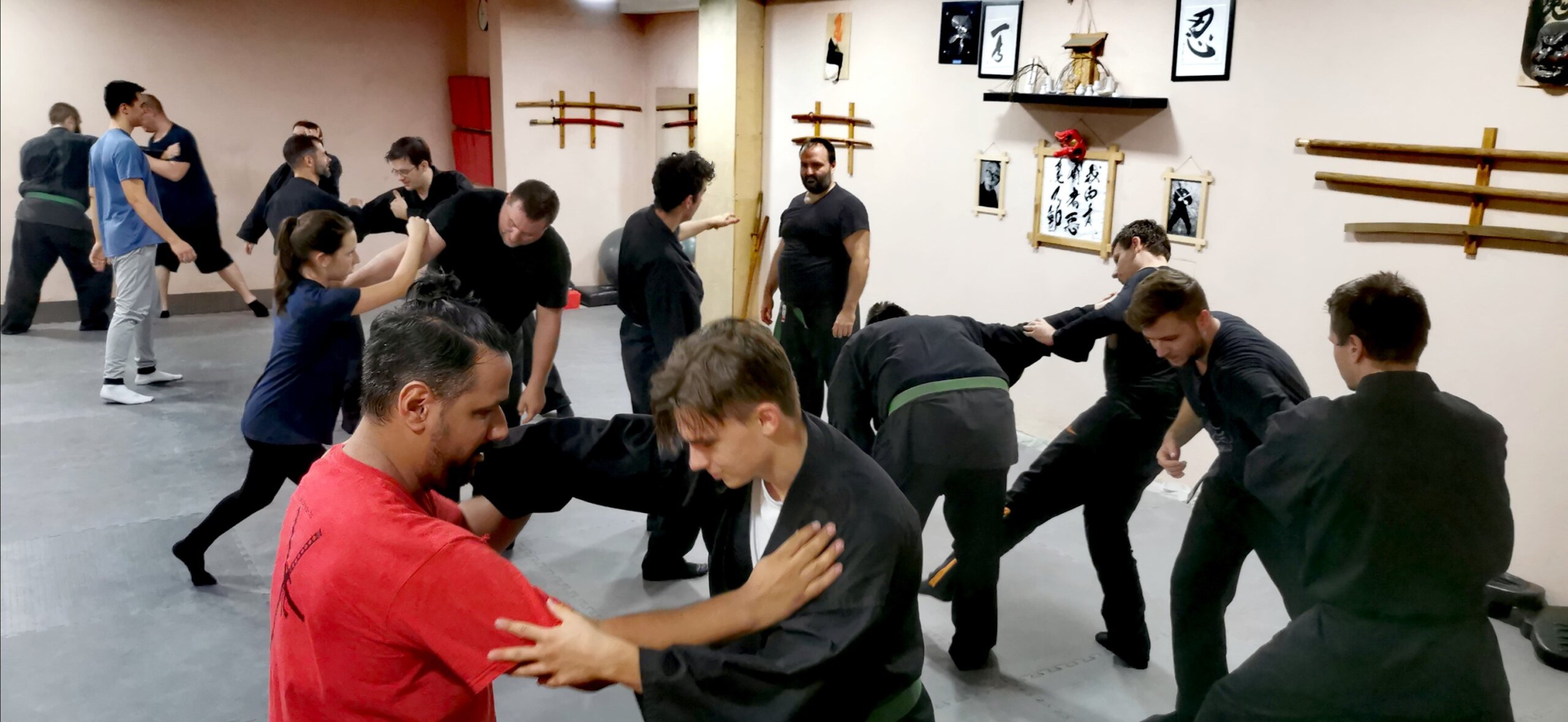 ninjutsu edzés a seijin dojoban